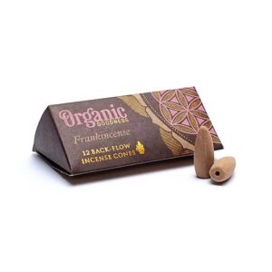 Organic Goodness Conuri Backflow Tămâie – Song of India
